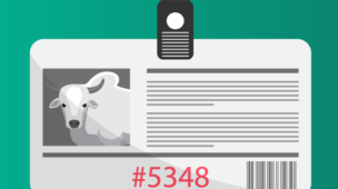 3 formas de aproveitar ao máximo o manejo do seu rebanho para a vacinação de Novembro