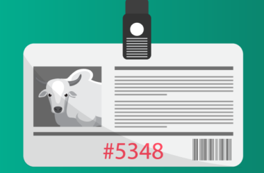 3 formas de aproveitar ao máximo o manejo do seu rebanho para a vacinação de Novembro