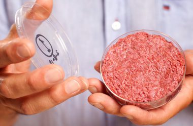 A “carne” de Laboratório vai acabar com minha fazenda?