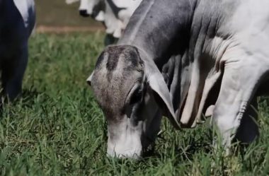 Devo abandonar as planilhas de Excel e buscar um software de gestão?