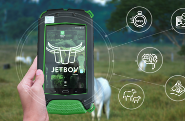 Por que escolher o JetBov e não outro sistema de gestão para fazendas de gado de corte