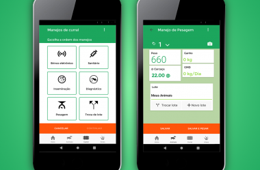 Como coletar os dados do rebanho fica mais fácil com o JetBov