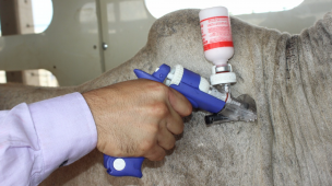 Saída dos insumos do estoque na aplicação.