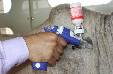 O que levar em consideração para o planejamento do manejo de novembro