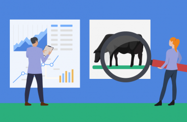 Por que você deveria elaborar um Plano de Negócios para sua fazenda (e como fazer isso)