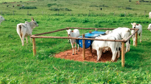 Que cuidados devo tomar antes de adotar o sistema?