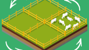 Porque utilizar o pastejo rotacionado e como o JetBov pode ajudar nesse manejo