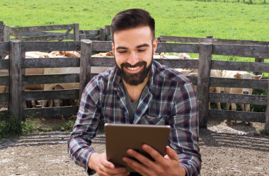 Sucesso da pecuária pode ser potencializado com boa administração