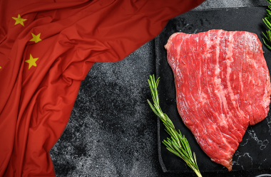 Exportações de carne bovina mantém preços elevados no mercado interno