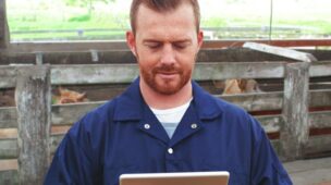 Passo a passo: calculando o custo por @ produzida na fazenda!