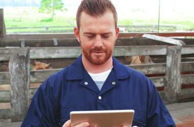 Passo a passo: calculando o custo por @ produzida na fazenda!