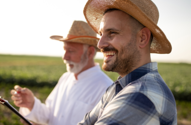 Inovação na Pecuária: Transformando a Gestão através da Tecnologia da Informação