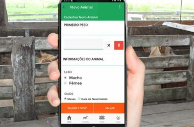 Por que este é o melhor momento para investir em um software para gerenciar minha fazenda de gado?