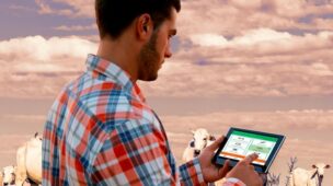 É fundamental fazer uma boa gestão na fazenda de gado de corte para melhores índices reprodutivos