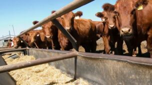 Como atingir excelentes soluções para seca e suplementação