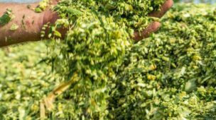 O principal gasto na recria é com a suplementação dos animais