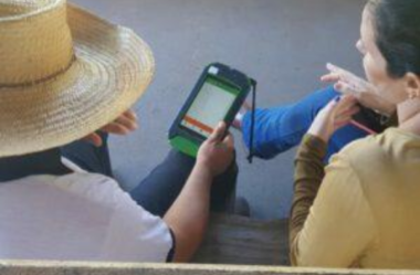 O que levar em conta ao escolher um software de gestão para sua fazenda de gado de corte?