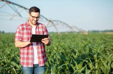 Tecnologia aumenta crescimento financeiro na pecuária