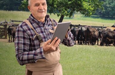 Como alavancar vendas e lucro na pecuária de corte?