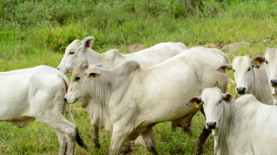 estratégia para economizar nas horas de trabalho