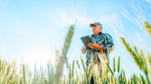 Dicas para uma gestão de funcionários eficiente na pecuária de corte