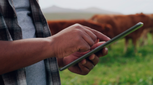 Tecnologia aumenta a produtividade na pecuária de corte