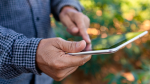 Análises dos dados coletados durante a vacinação do gado