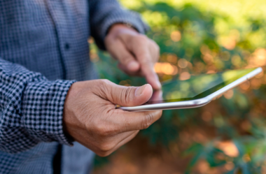 Análise dos dados coletados durante a vacinação do gado
