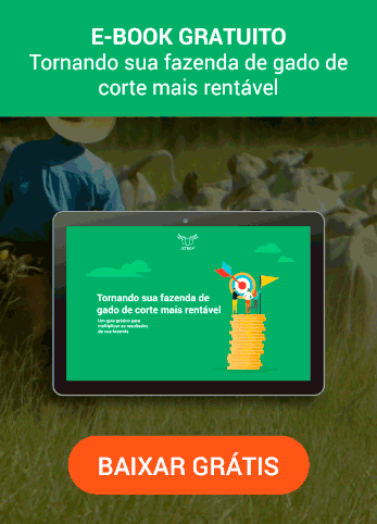 E-book Fazenda mais rentável
